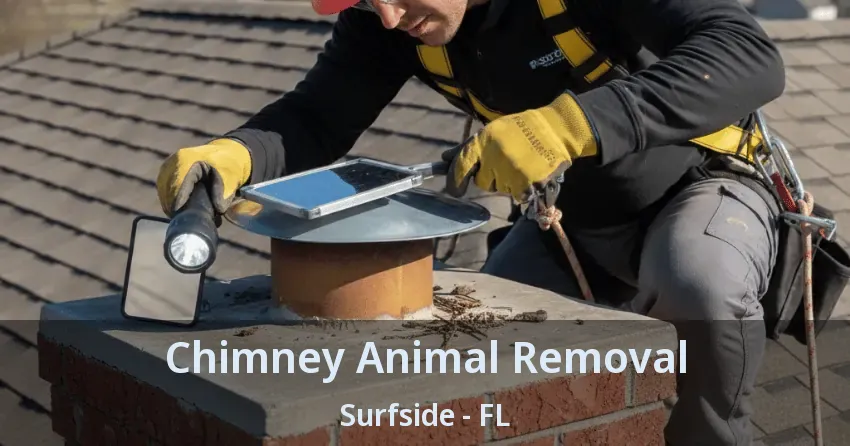 Chimney Animal Removal Surfside - FL