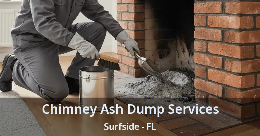 Chimney Ash Dump Services Surfside - FL