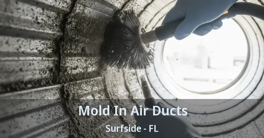Mold In Air Ducts Surfside - FL