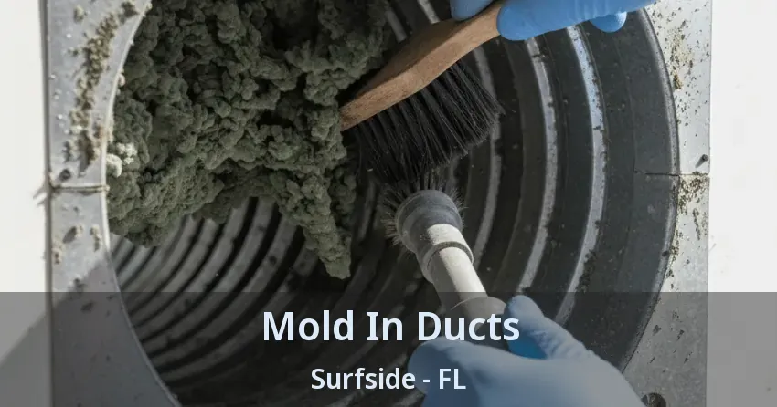 Mold In Ducts Surfside - FL Mold In Ducts Surfside - FL